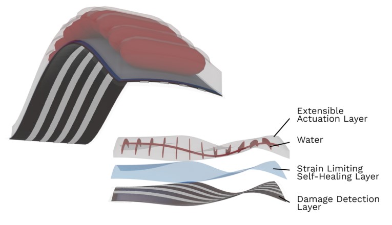 Muscoli artificiali autoriparanti_2